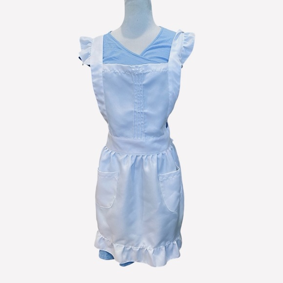 Alice in Wonderland Costume Dress Apron Adult S Blue White Homemade - Picture 1 of 7